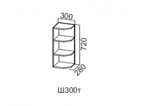 Ш300т/720 Шкаф навесной 300/720 (торцевой) в Тарко-Сале - tarko-sale.magazin-mebel74.ru | фото