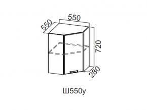 Ш550у/720 Шкаф навесной 550/720 (угловой) в Тарко-Сале - tarko-sale.magazin-mebel74.ru | фото