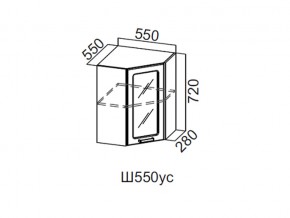 Ш550ус/720 Шкаф навесной 550/720 (угловой со стеклом) в Тарко-Сале - tarko-sale.magazin-mebel74.ru | фото