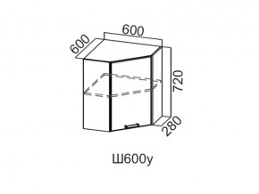 Ш600у/720 Шкаф навесной 600/720 (угловой) в Тарко-Сале - tarko-sale.magazin-mebel74.ru | фото