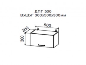 Шкаф верхний ДПГ500 горизонтальный в Тарко-Сале - tarko-sale.magazin-mebel74.ru | фото