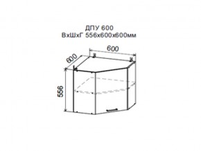 Шкаф верхний ДПУ600 угловой в Тарко-Сале - tarko-sale.magazin-mebel74.ru | фото